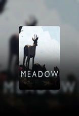 Meadow