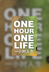 One Hour One Life