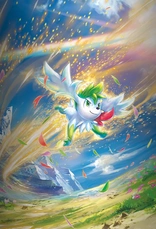 Pokémon Trading Card Game