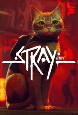 Stray